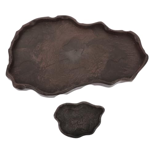 Kisangel 2 Stück Resin Reptile Feeder Wasserschale mit Kippschutz für Eidechsen Schildkröten und Terrarientiere Dekoratives Futter Wassernapf für Reptilien und Amphibien Kisangel 2 Stück Resin Reptile Feeder Wasserschale mit Kippschutz für Eidechsen Schildkröten und Terrarientiere Dekoratives Futter Wassernapf für Reptilien und Amphibien von Kisangel