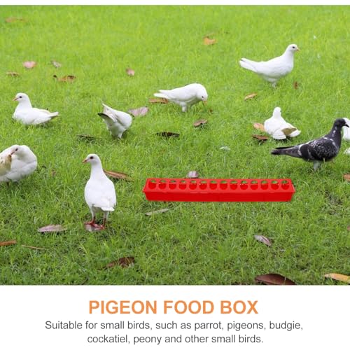 Kisangel 2 Stück Robuste Tauben futternäpfe aus Dickem Material mit Mehrfach schlitzdesign Vielseitig als Futter Wasserschale für Tauben Papageien und Kleine Vögel Langlebig und Einfach zu von Kisangel