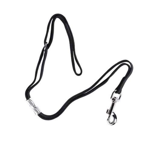 Kisangel 2 Stück Teiliges Hunde Grooming Haltesystem mit Robustem Rundverschluss Verstellbare Hundepflege Hundeleine und Stabiler Aufhängevorrichtung für Sicheres Fixieren von Kisangel