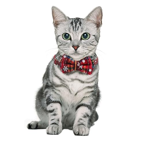 Kisangel 2 Stück Verstellbares Weihnachts Katzenhalsband Set aus Rot Grün Stilvolles Katzenhalsband mit Weihnachtsmotiv für Haustiere Bequem und Langlebig für Katzen und Kätzchen Kisangel 2 Stück Verstellbares Weihnachts Katzenhalsband Set aus Rot Grün Stilvolles Katzenhalsband mit Weihnachtsmotiv für Haustiere Bequem und Langlebig für Katzen und Kätzchen von Kisangel