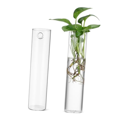 Kisangel 2stücke Zylindervasen Aus Glas Zum Aufhängen Wand Klare Wandvasen Für Zimmerpflanzen Und Blumen Durchsichtige Hängende Pflanzenterrarien Für Heimdekore Kisangel 2stücke Zylindervasen Aus Glas Zum Aufhängen Wand Klare Wandvasen Für Zimmerpflanzen Und Blumen Durchsichtige Hängende Pflanzenterrarien Für Heimdekore von Kisangel