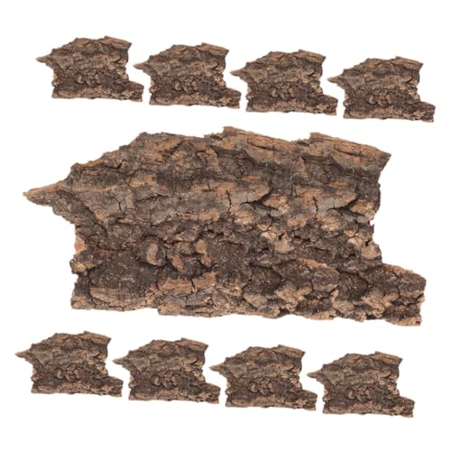 Kisangel 20 Stück Reptiliendekoration Bettwäsche Groß Schlange Buche Bellen Füttern Korkenrinde Reptilien -Aquarium -hintergrundpapier Fütterung Gecko Für Terrarienbaumrinde Holz von Kisangel