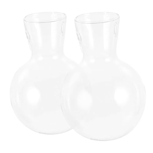 Kisangel 2 Runde Pflanzenvasen Aus Glas Mit Haltern – Heimdekoration Für Pflanzen Kisangel 2 Runde Pflanzenvasen Aus Glas Mit Haltern – Heimdekoration Für Pflanzen von Kisangel