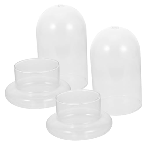 Kisangel 2Stücke Ökologische Glasflasche Für Moos DIY Terrarium Für Dekorationen Und Flaschengärten Höhe Kisangel 2Stücke Ökologische Glasflasche Für Moos DIY Terrarium Für Dekorationen Und Flaschengärten Höhe von Kisangel