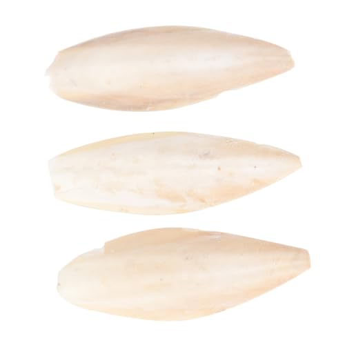 Kisangel Vogel-sepiaknochen-Spielzeug-Set 3-teilig 18–20 cm Kauspielzeug Für Backenzähne Für Papageien Haustier-beißspielzeug Sepiaknochen-kauspielzeug Zur Vorbeugung Von Rachitis Kisangel Vogel-sepiaknochen-Spielzeug-Set 3-teilig 18–20 cm Kauspielzeug Für Backenzähne Für Papageien Haustier-beißspielzeug Sepiaknochen-kauspielzeug Zur Vorbeugung Von Rachitis von Kisangel