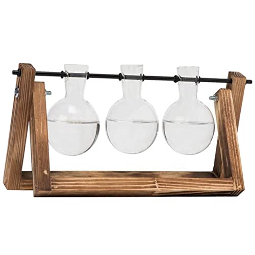 Kisangel 3 Stück Ornamente bürodeko büro Dekoration pflanzentopf blumentöpfe Tischdekoration Decor für Anlage Vasen transparent drinnen einmachgläser Links Glühbirnenvase Wasservase Glas von Kisangel