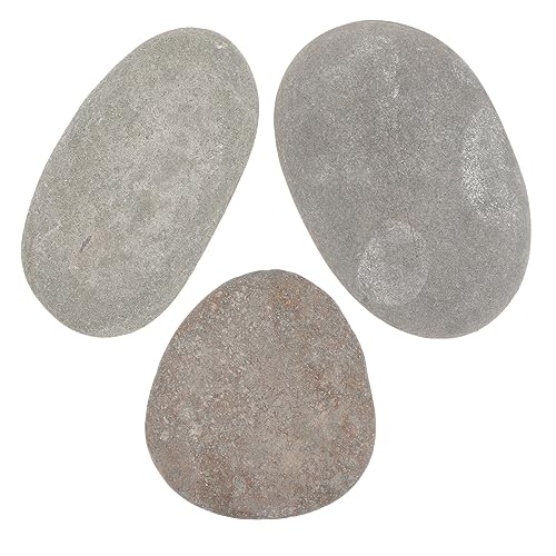 Kisangel 3 Stück Teiliges Natürliche Schildkröten Sonnensteine Flache Plattform Reptilien Terrarium Dekoration Fischbecken Landschaft Vielseitig Kletterfreundlich für Zufällige Farbe Kisangel 3 Stück Teiliges Natürliche Schildkröten Sonnensteine Flache Plattform Reptilien Terrarium Dekoration Fischbecken Landschaft Vielseitig Kletterfreundlich für Zufällige Farbe von Kisangel