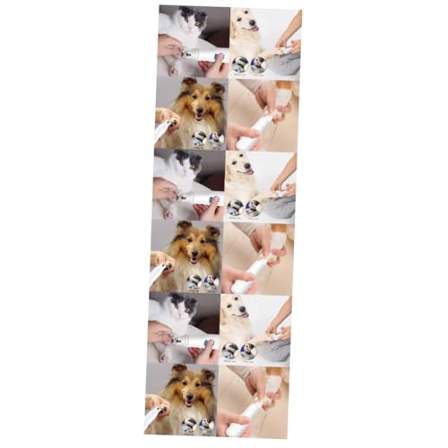Kisangel 3st Elektrischer Hundeschleifer Krallenschere Für Große Hunde Automatischer Nagelknipser Nagelfeile Für Hunde Krallenschleifer Für Große Hunde Haustier Hunde Nageln Hund Nagel Kisangel 3st Elektrischer Hundeschleifer Krallenschere Für Große Hunde Automatischer Nagelknipser Nagelfeile Für Hunde Krallenschleifer Für Große Hunde Haustier Hunde Nageln Hund Nagel von Kisangel
