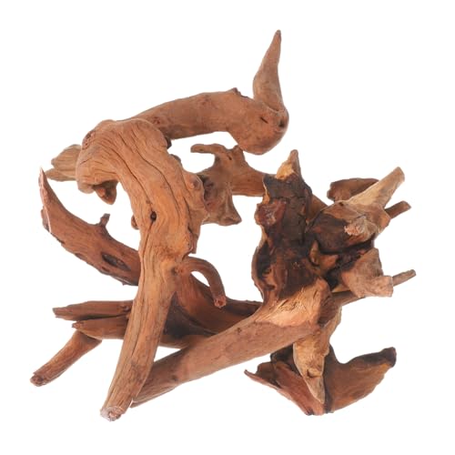 Kisangel 4 Stück Teiliges Aquarium Driftwood Naturgetreue Wurzelholz Äste für Fischbecken Dekoration Sicher und Fischfreundlich für Süßwasser Aquascaping und Reptilien Terrarien von Kisangel