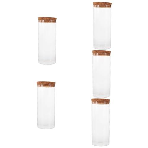 Kisangel 5 Stück Glasflasche für DIY Mikrolandschaften Terrarium mit Korkverschluss zur Dekoration Vielseitig Einsetzbar als Pflanzenbehälter oder Wohnaccessoire von Kisangel