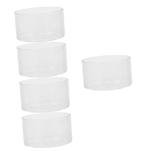 Kisangel 5 Stücke Leere Terrarium Glas Landschaft Flasche Für Pflanzen Glas Terrarium Dekorative Wohnkultur von Kisangel