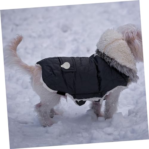 Kisangel 6 Stück Reflektierende Magnetclips Weiß PVC Sicherheits Reflektoren für Schulranzen Kleidung Hunde und Sportgeschirre Nacht Sichtbarkeit Warnmarkierung für Outdoor Laufaktivitäten Kisangel 6 Stück Reflektierende Magnetclips Weiß PVC Sicherheits Reflektoren für Schulranzen Kleidung Hunde und Sportgeschirre Nacht Sichtbarkeit Warnmarkierung für Outdoor Laufaktivitäten von Kisangel