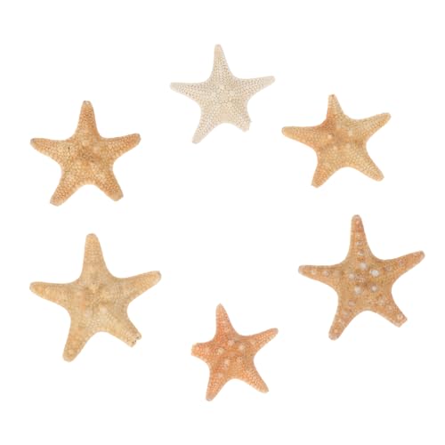 Kisangel 6 Stück Teiliges Natürliche Seesterne DIY Schmuckanhänger für Aquarien Dekoration Handwerk Ornament Tropisches Meeresdekor Geschenkidee Zufällige Farbe Zufällige Farbe von Kisangel