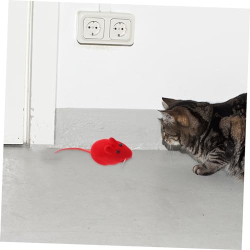 Kisangel 60 Künstliche Katzenminze Mäuse Für Katzen Interaktive Mausspielzeug Quietschende Kätzchen Spielzeug Katzen- -Spielzeug Vinyl Katzensachen Abspielen Kisangel 60 Künstliche Katzenminze Mäuse Für Katzen Interaktive Mausspielzeug Quietschende Kätzchen Spielzeug Katzen- -Spielzeug Vinyl Katzensachen Abspielen von Kisangel
