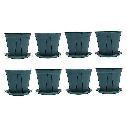 Kisangel 8 Sets Blumentopf Aus Kunststoff Kleine Töpfe Für Pflanzen Dekoration Pflanzenständer Blumenerde Durchsichtige Pflanzbehälter Pflanztöpfe Kleine Blumentöpfe Für Den Kisangel 8 Sets Blumentopf Aus Kunststoff Kleine Töpfe Für Pflanzen Dekoration Pflanzenständer Blumenerde Durchsichtige Pflanzbehälter Pflanztöpfe Kleine Blumentöpfe Für Den von Kisangel