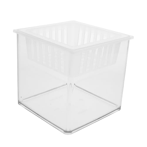 Kisangel Betta Fisch Hydroponisches Aquarium Pflanzenbehälter Transparente Zuchtbox für Aquatische Pflanzen Fischzucht für Schreibtisch Leicht und Tragbar Microlandschaft von Kisangel