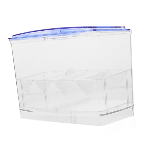 Kisangel Box Für Aquarien Brutkasten Für Aquarien Transportbehälter Für Fische Kiste Für Fische Separator Für Aquarien Zubehör Für Aquarien Organizer Trennwand Für Aquarien Kisangel Box Für Aquarien Brutkasten Für Aquarien Transportbehälter Für Fische Kiste Für Fische Separator Für Aquarien Zubehör Für Aquarien Organizer Trennwand Für Aquarien von Kisangel