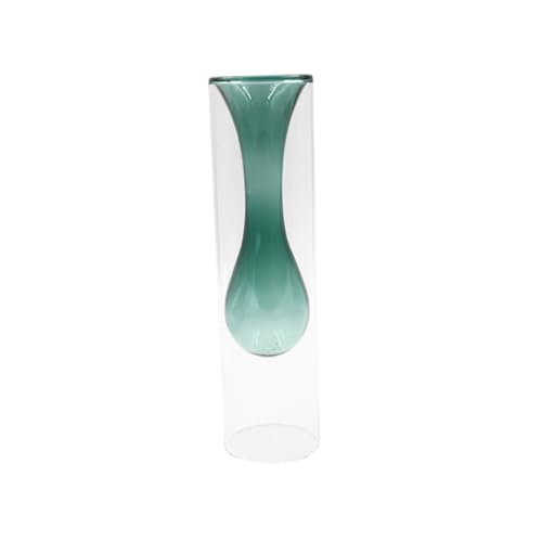 Kisangel Doppelt Verglaste Hydroponik Glasvase aus Hochwertigem Borosilikat Transparente Tischdekoration für Blumen und Pflanzen Grüne Farbschicht Robust und Stilvoll für Wohn und von Kisangel