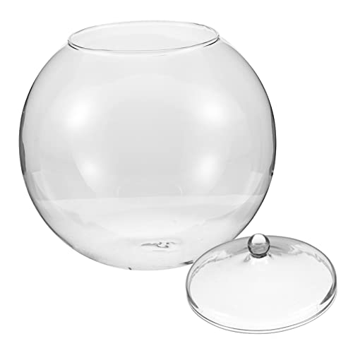 Kisangel Terrarium-pflanzgefäß Multifunktionale Landschaftsflasche Für Die Dekoration Von Büroräumen von Kisangel