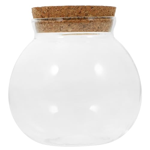 Kisangel Ökologische Flasche Blumenvase Glas Terrarium Glas für Wohnzimmer Kisangel Ökologische Flasche Blumenvase Glas Terrarium Glas für Wohnzimmer von Kisangel