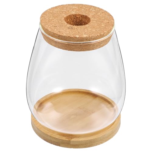 Kisangel Glas Sukkulenten Vasen Für Tafelaufsätze Multifunktionale Blumenarrangements Und Kerzenhalter Transparente Dekoration Für Büro Und Wohnzimmer Als Geschenk Kisangel Glas Sukkulenten Vasen Für Tafelaufsätze Multifunktionale Blumenarrangements Und Kerzenhalter Transparente Dekoration Für Büro Und Wohnzimmer Als Geschenk von Kisangel