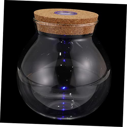 Kisangel Glasbehälter Bunte Ökologische Flasche Einmachgläser Geschenk Saftig Glas Vase Wohnkultur von Kisangel