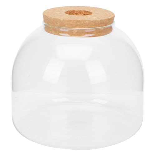 Kisangel Glasflasche für DIY Landschaft Transparente Ökologische Flasche mit Glatter Oberfläche Vielseitig Nutzbar für Pflanzen Moos und Dekoration im Büro oder Zuhause von Kisangel