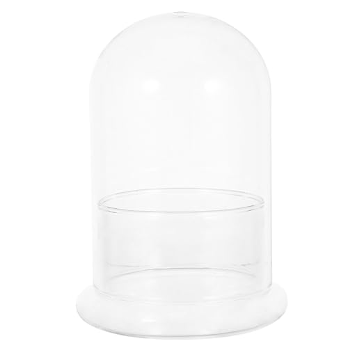Kisangel Glasglocke: Geschlossenes Terrarium aus Glas für DIY-Moos-Ökosystem – Hydroponischer Übertopf – Mikro-Landschaftsflasche für Zimmerpflanzen Kisangel Glasglocke: Geschlossenes Terrarium aus Glas für DIY-Moos-Ökosystem – Hydroponischer Übertopf – Mikro-Landschaftsflasche für Zimmerpflanzen von Kisangel