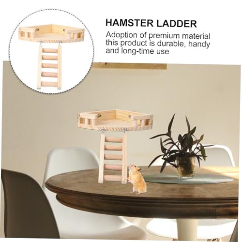 Kisangel Hamster Kletterleiter aus Natürlichem Holz Mini Zwerghamster und Kleintiere Fördert Bewegung Gleichgewicht und Koordination im Käfig Sicher und Unterhaltsam Kisangel Hamster Kletterleiter aus Natürlichem Holz Mini Zwerghamster und Kleintiere Fördert Bewegung Gleichgewicht und Koordination im Käfig Sicher und Unterhaltsam von Kisangel