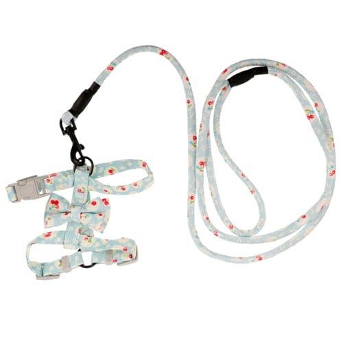 Kisangel Pet Geschirr Mit Verstellbarem Brustgurt Atmungsaktive Und Langlebige Leine Für Hunde Und Katzen Für Und Outdoor-aktivitäten s Farbe Zufällig von Kisangel