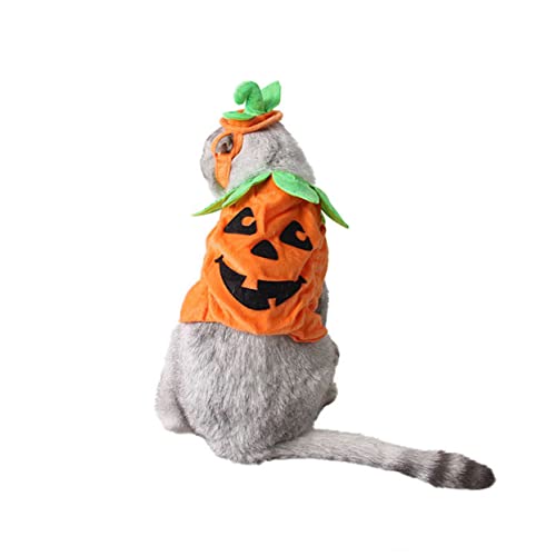 Kisangel Haustier-Kürbis-Set Welpen-Outfits Halloween-Kostüme für Hunde Halloween Kostüm für Haustiere Kürbis Kostüme Katzen-Kürbis-Kostüme -Hund Kleidung einstellen Polyester von Kisangel