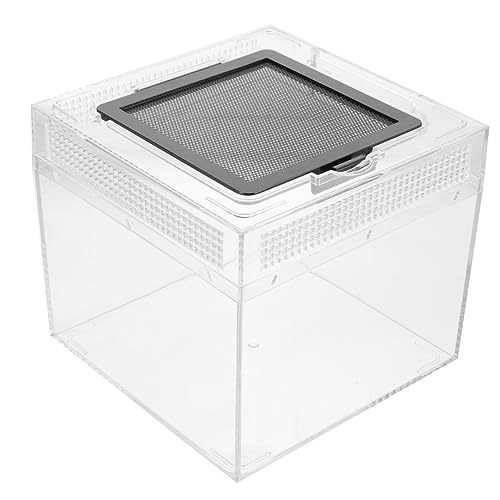 Kisangel Hochtransparente Futterbox für Schildkröten Geckos und Spinnen Praktische Aufbewahrung mit Belüftungslöchern für Optimale Tierhaltung Kisangel Hochtransparente Futterbox für Schildkröten Geckos und Spinnen Praktische Aufbewahrung mit Belüftungslöchern für Optimale Tierhaltung von Kisangel