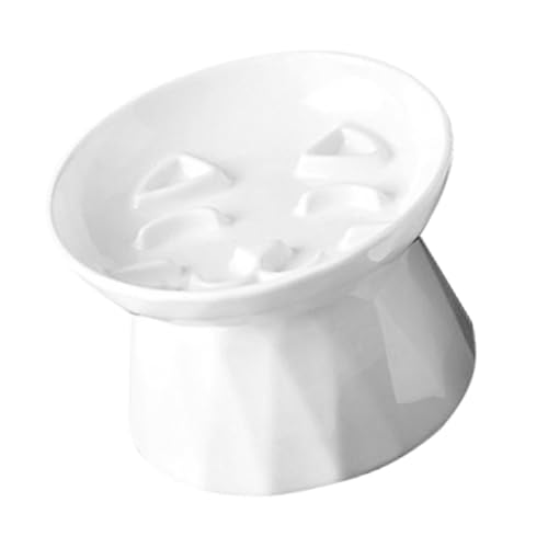 Kisangel Ergonomischer Erhöhter Katzennapf Erhöhter Futter- und Wassernapf für Haustiere Ohne Boden für Kätzchen und Erwachsene Katzen Kisangel Ergonomischer Erhöhter Katzennapf Erhöhter Futter- und Wassernapf für Haustiere Ohne Boden für Kätzchen und Erwachsene Katzen von Kisangel
