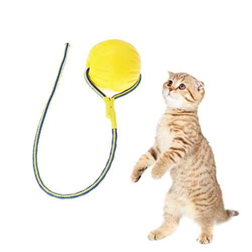 Kisangel Hollow Eva Hundeball Mit Seil Spielzeug Für Training Bewegung Gelb Robustes Sicheres Design Für Interaktive Spielzeit Training Kisangel Hollow Eva Hundeball Mit Seil Spielzeug Für Training Bewegung Gelb Robustes Sicheres Design Für Interaktive Spielzeit Training von Kisangel