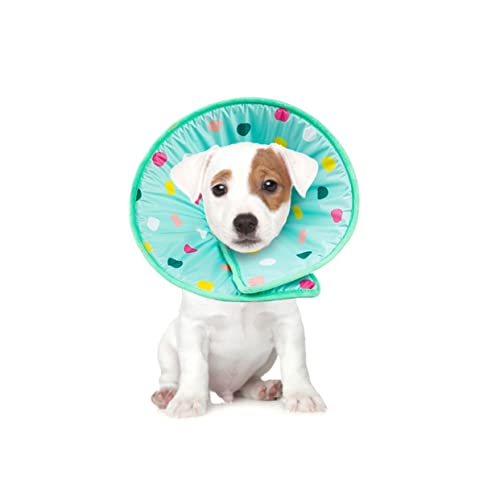 Kisangel Heilhalsband Kratzfeste Hundehalsband Schwamm eine Halskette Halsketten Hund elisabethanische Halskette Haustier-Halskette Anti-Griff Elisabeth Kreis Kisangel Heilhalsband Kratzfeste Hundehalsband Schwamm eine Halskette Halsketten Hund elisabethanische Halskette Haustier-Halskette Anti-Griff Elisabeth Kreis von Kisangel
