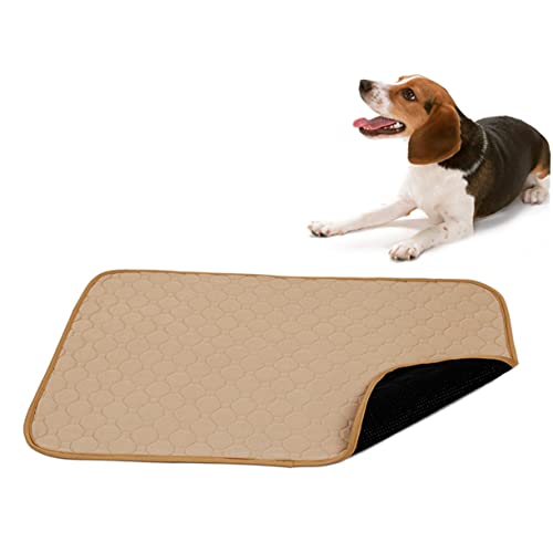 Kisangel Pet Pee Pad - Waschbare Hundeunterlage & Wiederverwendbar mit - Matte Größe L Beige Kisangel Pet Pee Pad - Waschbare Hundeunterlage & Wiederverwendbar mit - Matte Größe L Beige von Kisangel
