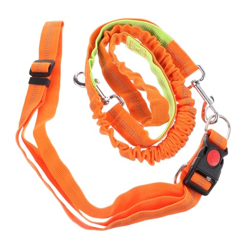 Kisangel Hundeleine aus Elastischem Material Explosion für Sicheres Laufen und Joggen mit Ihrem Hund für Kleine und Große Hunde mit Pufferdesign für Optimale von Kisangel