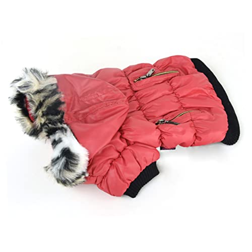Kisangel Kapuzenpullover Mit Reißverschluss Weihnachtspullover Hoodies Mit Reißverschluss Reißverschluss-Hoodie Winter-Hunde-Hoodie Kleiner Hundepullover Haustier Herbst Und Winter Rot Kisangel Kapuzenpullover Mit Reißverschluss Weihnachtspullover Hoodies Mit Reißverschluss Reißverschluss-Hoodie Winter-Hunde-Hoodie Kleiner Hundepullover Haustier Herbst Und Winter Rot von Kisangel