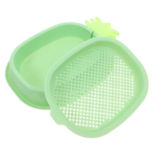 Kisangel Kasten Katzengrasbox Interaktives Katzenspielzeug Katzenpflanzgefäße Für Zimmerpflanzen Pflanzgefäß Für Kätzchengras Anzuchttopf Für Katzenminzenpflanzen Stange Teppich Green Abs von Kisangel
