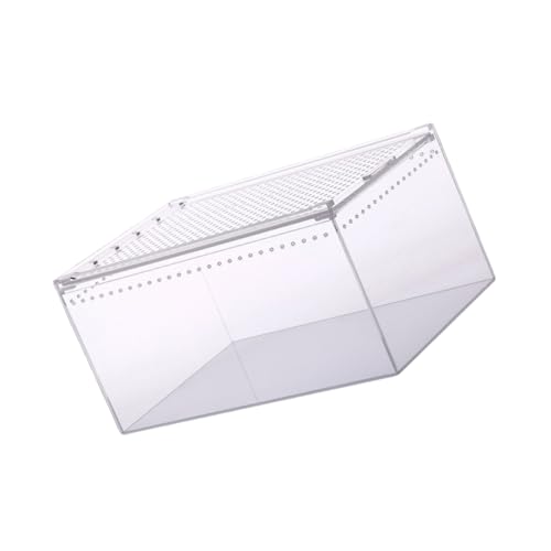 Kisangel Kasten Krabbelbox Aus Acryl Zubehör Für Reptilien Zuchtbecken Für Aquarien Vogelspinnengehege Reptiliengehege Minizaun Reptilienterrarium Reptilienhaut Eidechsenbecken Transparent von Kisangel