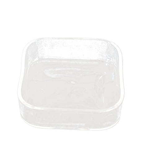 Kisangel Futternapf Für Reptilien Und Haustiere Aus Dickem Glas Für Eidechsen Und Schildkröten Futter- Und Wasserspender Becken Futterbehälter Kisangel Futternapf Für Reptilien Und Haustiere Aus Dickem Glas Für Eidechsen Und Schildkröten Futter- Und Wasserspender Becken Futterbehälter von Kisangel