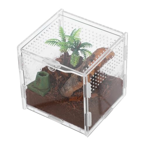 Kisangel Kleines Terrarium für Springende Spinnen Sichere und Transparente Box für Reptilienliebhaber Nicht Fängende Terrarien für Haustiere Weiß Kisangel Kleines Terrarium für Springende Spinnen Sichere und Transparente Box für Reptilienliebhaber Nicht Fängende Terrarien für Haustiere Weiß von Kisangel