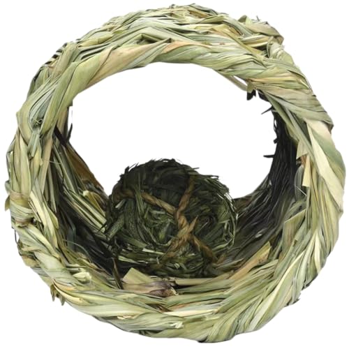Kisangel Kreativer Katzentunnel mit Grassball für Haustiere Wie Kaninchen und Igel Langlebiges für Drinnen und Draußen Fördert Bewegung und Beschäftigung von Wohnungskatzen Kisangel Kreativer Katzentunnel mit Grassball für Haustiere Wie Kaninchen und Igel Langlebiges für Drinnen und Draußen Fördert Bewegung und Beschäftigung von Wohnungskatzen von Kisangel