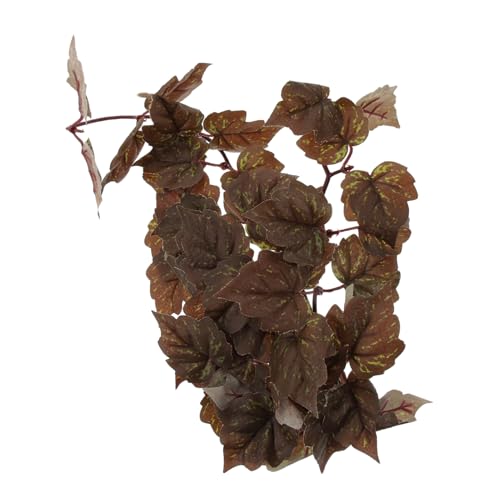 Kisangel Künstliche Hängepflanze für Reptilien Terrarien mit Saugnapf Naturnahe Deko für Aquarium und Reptilienbox Pflegeleicht Langlebig Sicheres Material für Bartagamen und Echsen Kisangel Künstliche Hängepflanze für Reptilien Terrarien mit Saugnapf Naturnahe Deko für Aquarium und Reptilienbox Pflegeleicht Langlebig Sicheres Material für Bartagamen und Echsen von Kisangel