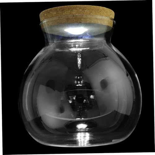 Kisangel LED Glasflasche mit Weißem LED Licht Dekorative Mikrolandschaftsvase DIY Flaschengarten Terrarium Transparenter Ökosystem Glasbehälter für Pflanzendekor und Zimmerdekoration Kisangel LED Glasflasche mit Weißem LED Licht Dekorative Mikrolandschaftsvase DIY Flaschengarten Terrarium Transparenter Ökosystem Glasbehälter für Pflanzendekor und Zimmerdekoration von Kisangel
