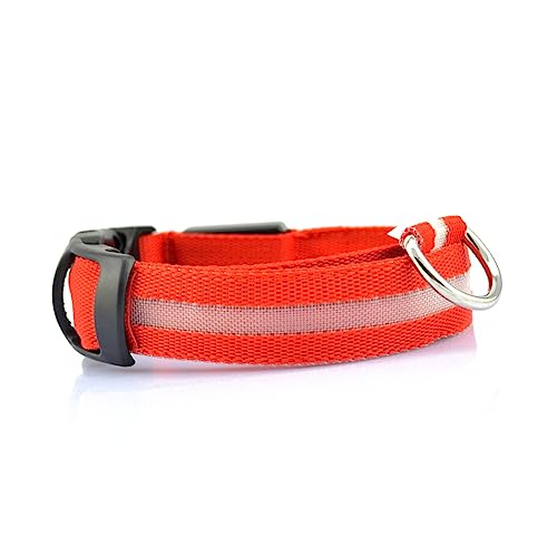 Kisangel Hundehalsband -licht Nachtsicht Blinkendes Kreisförmiges Halsband für Die Von Haustieren Rot Kisangel Hundehalsband -licht Nachtsicht Blinkendes Kreisförmiges Halsband für Die Von Haustieren Rot von Kisangel