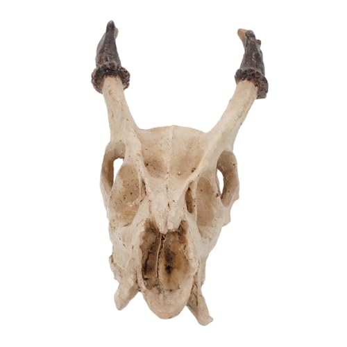 Kisangel Lebensechtes Reptilien-versteck aus Resin Muntjac-schädel Höhle für Schildkröten Schlangen Frösche Vielseitiges Terrarium-dekor Sicher für Reptilien und Aquarium Zubehör von Kisangel