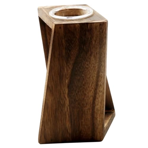 Kisangel Glas Pflanzvase Mit Holzständer Für Hydroponische Pflanzen Elegantes Terrarium Für Indoor-Dekoration Und Pflanzenanzucht von Kisangel