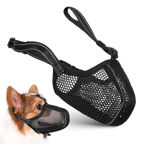 Kisangel 1stück Mesh Maulkorb Für Hunde Verstellbarer Weicher Netzmaulkorb Atmungsaktiv Und Komfortabel Für Tierarztbesuche Und Training Verhindert Beißen Und Fressen Kisangel 1stück Mesh Maulkorb Für Hunde Verstellbarer Weicher Netzmaulkorb Atmungsaktiv Und Komfortabel Für Tierarztbesuche Und Training Verhindert Beißen Und Fressen von Kisangel
