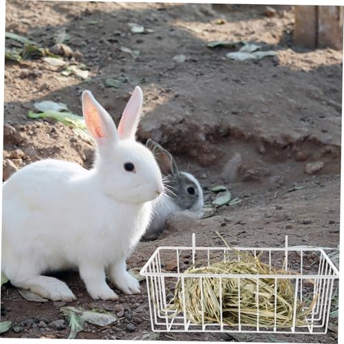 Kisangel Metall Heufutterspender für Kaninchen und Kleintiere Mittlere Weiß Stabiler Hängender Halter für Käfige Langlebig Sicher und Installieren Futterverschwendung Kisangel Metall Heufutterspender für Kaninchen und Kleintiere Mittlere Weiß Stabiler Hängender Halter für Käfige Langlebig Sicher und Installieren Futterverschwendung von Kisangel